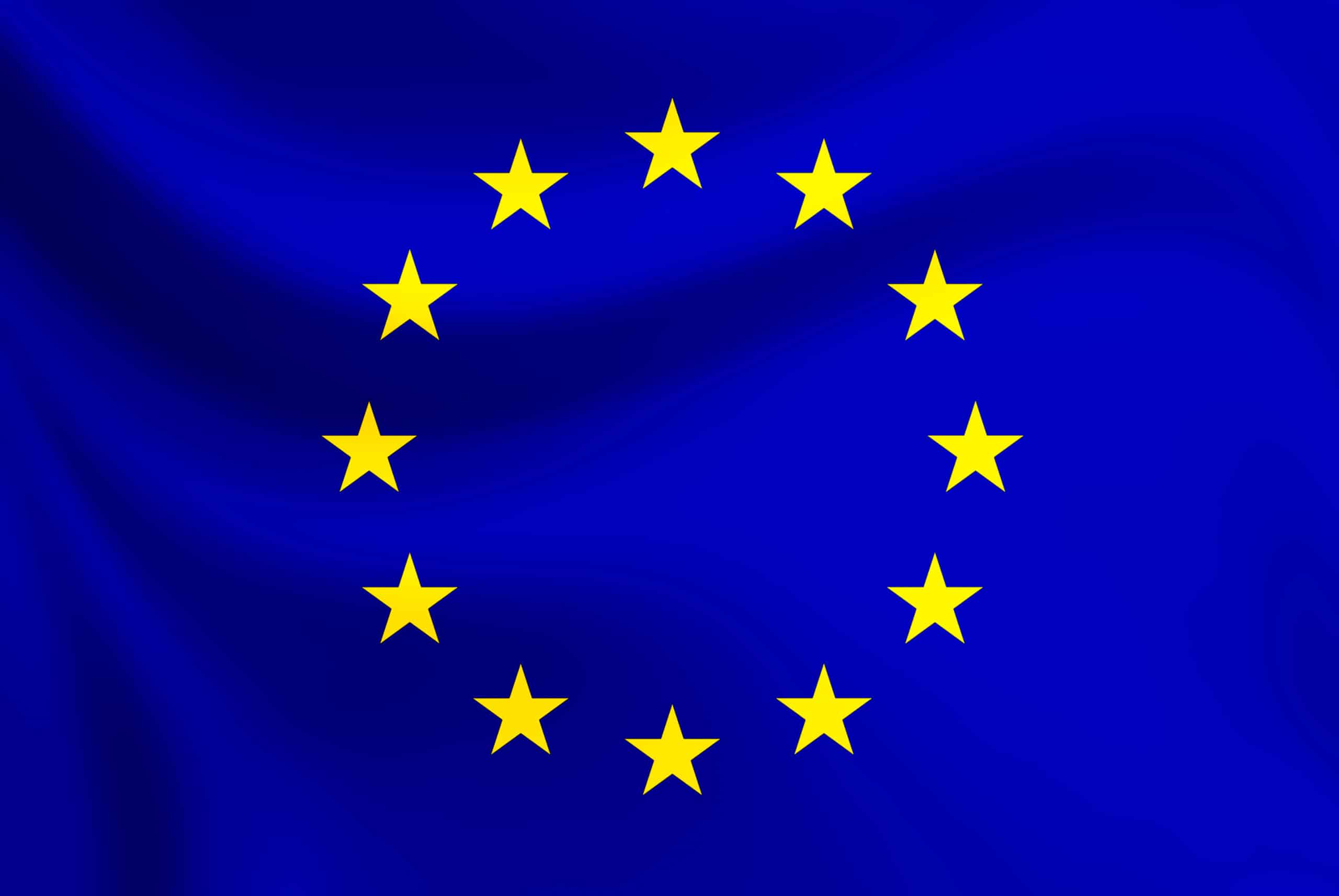 European Union Flag